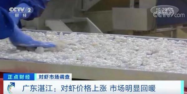 缺蝦！價格大漲20%，還“不夠賣”！企業搶“瘋”了！還會再漲嗎？