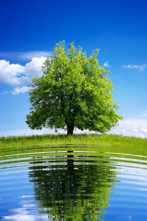 定數、因果、報應、老天爺、改命