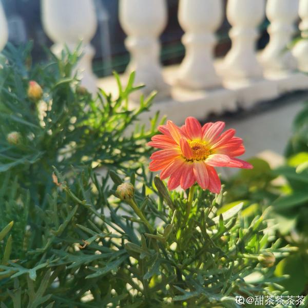 秋天又乏又燥，做好5件事，有效緩解“乏”和“燥”