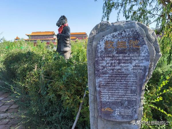 漢EV自駕新疆,不想錯過吉木薩爾的千佛洞,去了讓人有些失望 漢EV自駕新疆,不想錯過吉木薩爾的千佛洞,去了讓人有些失望