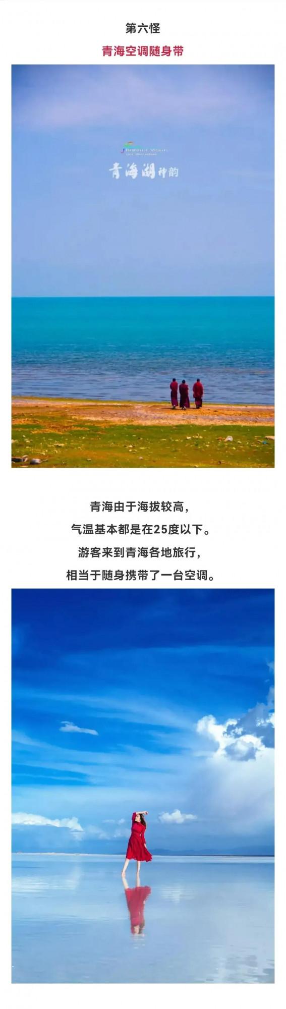 西北十四怪,有的怪可愛 西北十四怪,有的怪可愛