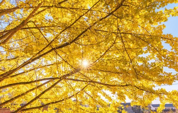 雲南這幾個地方的美景,才是深秋的正確開啟方式,絕美而又低調 雲南這幾個地方的美景,才是深秋的正確開啟方式,絕美而又低調