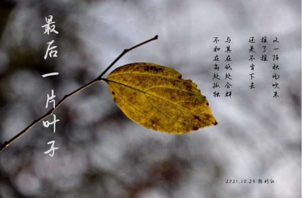 小詩三首：最後一片葉子