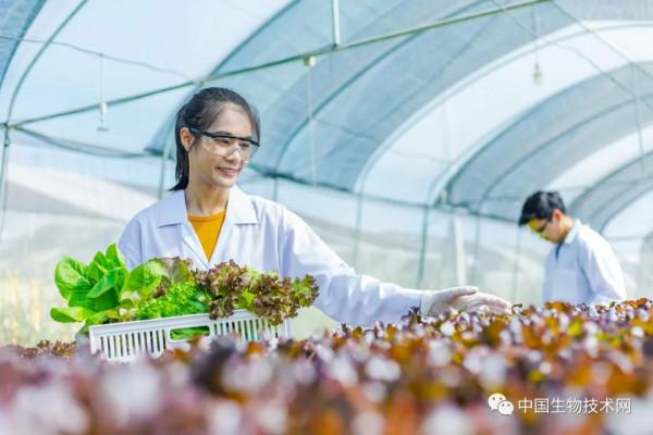 吃盤蔬菜沙拉就能完成mRNA疫苗接種？可食用的mRNA疫苗要來了