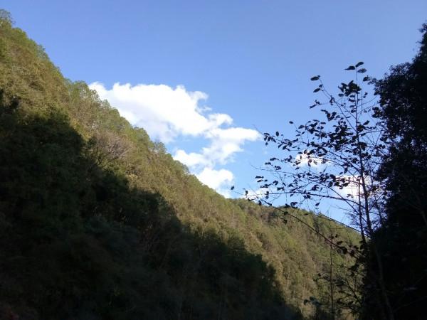 頻繁掛鉤斷線也未能阻止大板鯽爆護