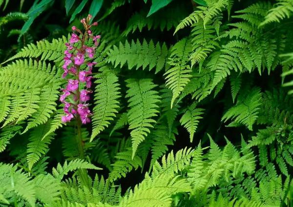 人生感悟：對自己越狠，越幸運