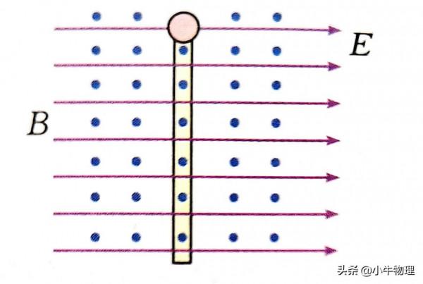 洛倫茲作用下受約束運動 洛倫茲作用下受約束運動