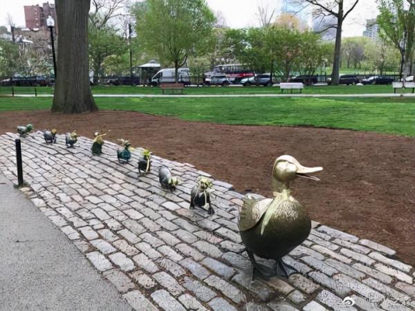 激發閱讀興趣的繪本——《讓路給小鴨子》