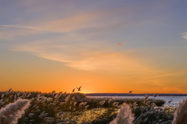 國慶7天出遊5.15億人次，花了3800多億，去內蒙旅遊勝過其他地方