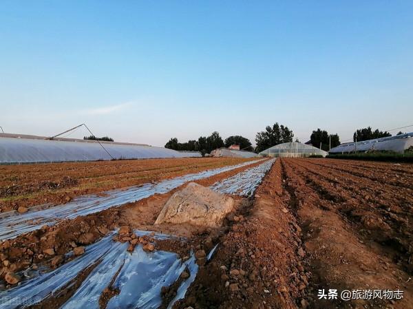 盤點中國最矮的3座山,一個比一個矮小,你去過嗎? 盤點中國最矮的3座山,一個比一個矮小,你去過嗎?