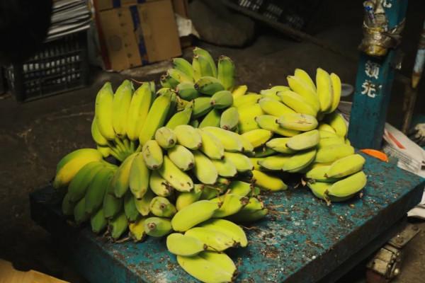 在這裡我毫不焦慮，還實現了水果自由