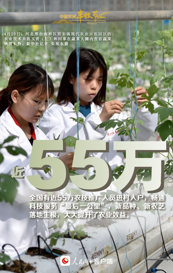 “豐”景如畫慶佳節