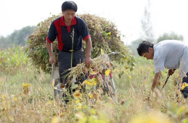老話說“八月十五看月光,可知來年荒不荒”為何意?怎樣看月光? 老話說“八月十五看月光,可知來年荒不荒”為何意?怎樣看月光?