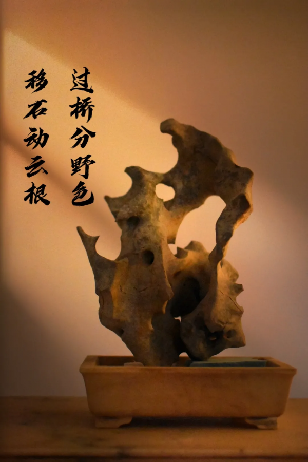 奇石的定義與種類