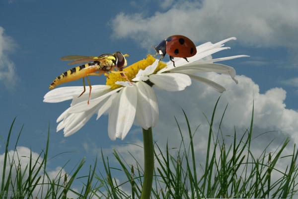 二手房世風日未來的出路真真假假 二手房世風日未來的出路真真假假