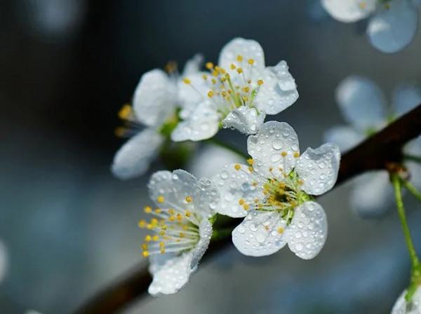 31天法定假日該咋花？