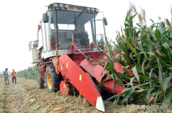 農民種地難掙錢？從“會”農業到“慧”農業，靠手機也能輕鬆種植