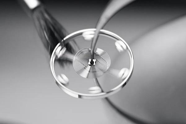 遊絲硬度及彈性升級的秘密:Richard Lange與他的專利發明 遊絲硬度及彈性升級的秘密:Richard Lange與他的專利發明