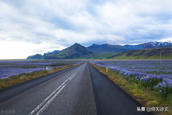 九首詩詞，願中年的你不再焦慮，坦然面對生活