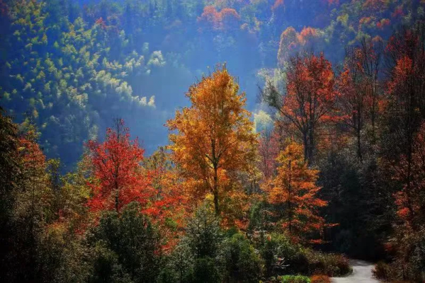 潛山秋季自駕遊精品線路 潛山秋季自駕遊精品線路