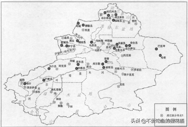 1916年，當最後一隻新疆虎被打死之後