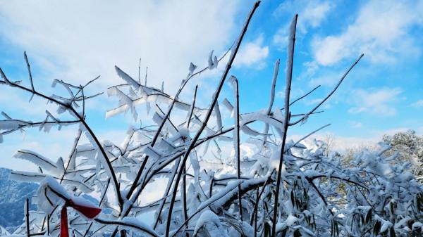在家觀冬奧 聯想冰雪記憶