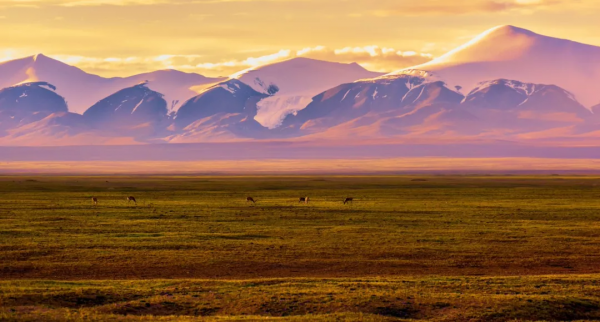中國面積最大的國家公園,這片“人類禁區”終於限時開放了 中國面積最大的國家公園,這片“人類禁區”終於限時開放了