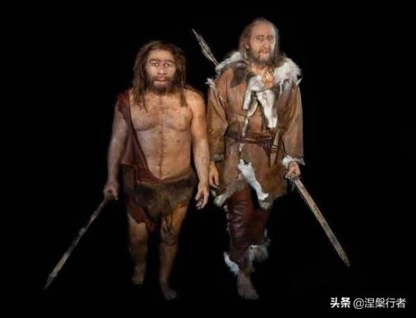 人類褪毛簡史 人類褪毛簡史