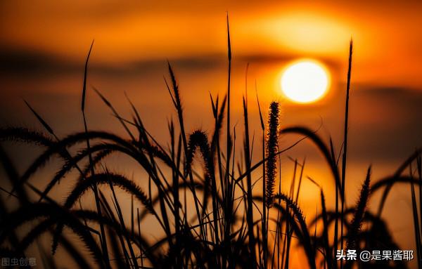 雖遲但到，本週運勢來啦