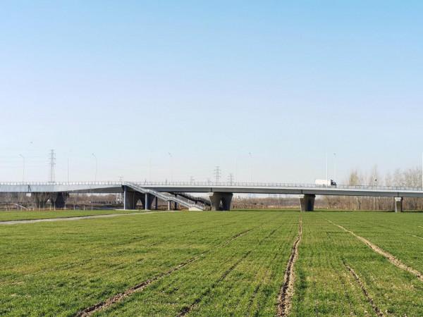 防治揚塵、耕種糧食“兩不誤”！潞城鎮近千畝騰退地種上冬小麥