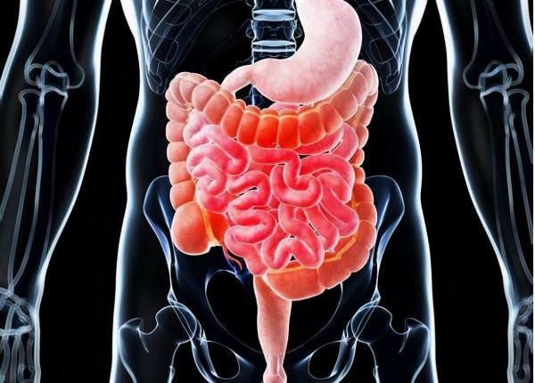 入睡前分別吃了半斤牛肉和半斤素食的兩個人,哪個人早上體重輕? 入睡前分別吃了半斤牛肉和半斤素食的兩個人,哪個人早上體重輕?