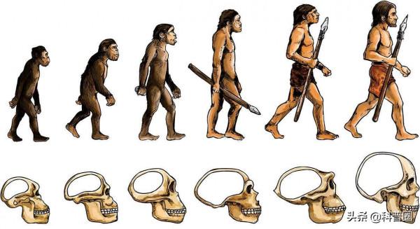 為什麼動物分娩後代那麼輕鬆，人類生孩子卻疼得撕心裂肺？
