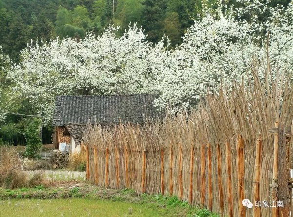 中國傳統村落（江西篇）丨江西共有343個村被列入傳統村落名錄