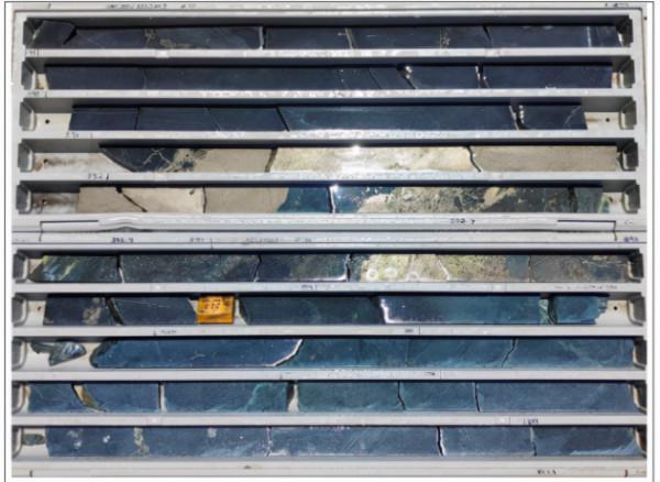 「1&period;14」今日財經時訊及重要市場資訊