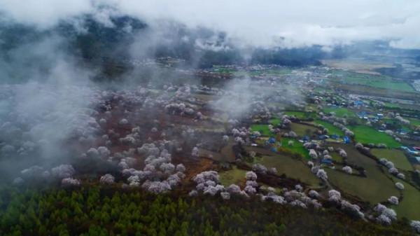 去西藏，感受最美雪山、桃花、星空、冰川...