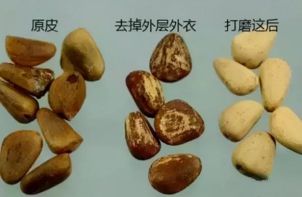 堅果松子,做成手串被賣出17萬 堅果松子,做成手串被賣出17萬