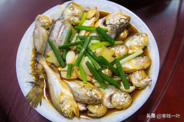 在浙江象山一條野生大黃魚3000多塊,為什麼這麼貴?吃完才明白 在浙江象山一條野生大黃魚3000多塊,為什麼這麼貴?吃完才明白