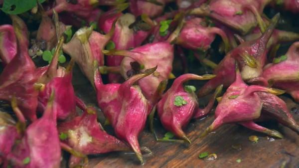 老人說“秋吃水八仙，賽過小神仙”，什麼是水八仙？看完漲知識了