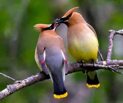 點亮愛的翅膀，帶著你一路飛翔，旅途有你，便是天堂