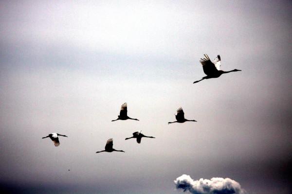 自駕十年(2013)——阿爾山踏青( 四) 自駕十年(2013)——阿爾山踏青( 四)