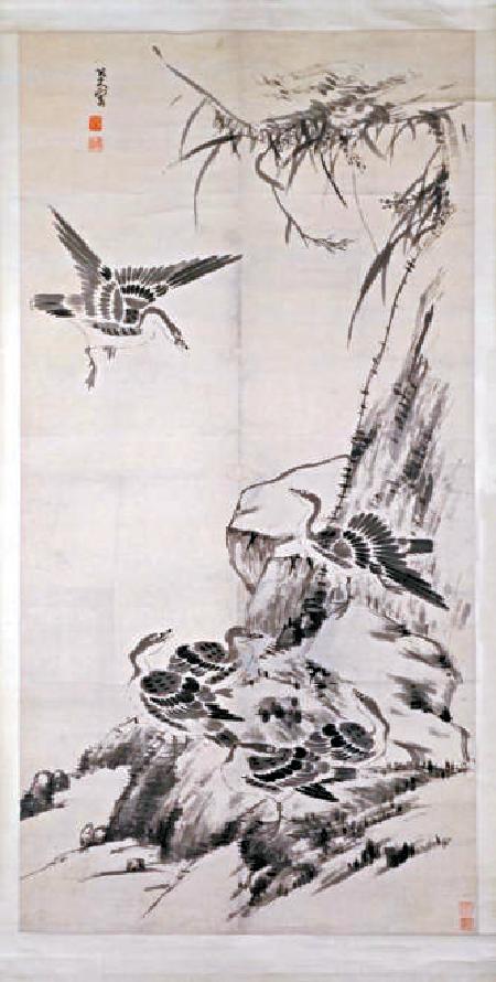 以蘆為姓，在水一方