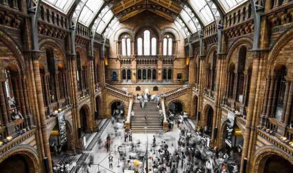 中國應試教育不公平？看了美國的寒門學子，才知道什麼是“絕望”