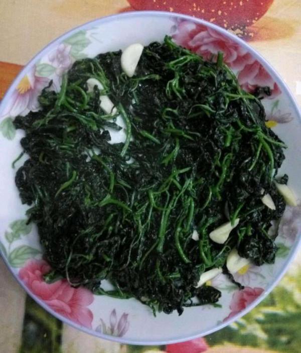 冬日裡的7種“野菜”,以前漫山遍野都是,現在也還是美味佳餚 冬日裡的7種“野菜”,以前漫山遍野都是,現在也還是美味佳餚