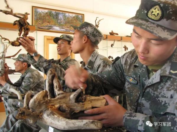 歌聲裡，我的草原我的河