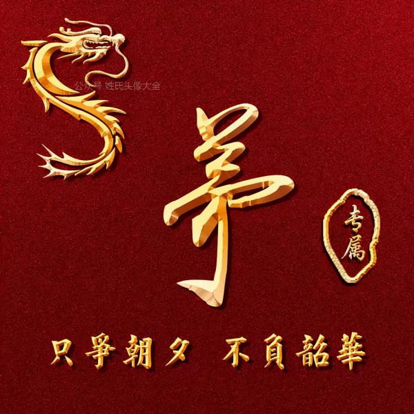 200張正能量姓氏頭像，張張精品，只爭朝夕 不負韶華