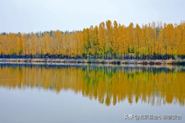 秋日特輯 | 賞不盡的小鎮秋色