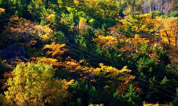 中秋時節到門頭溝賞秋，住民宿，來一段詩意之旅~