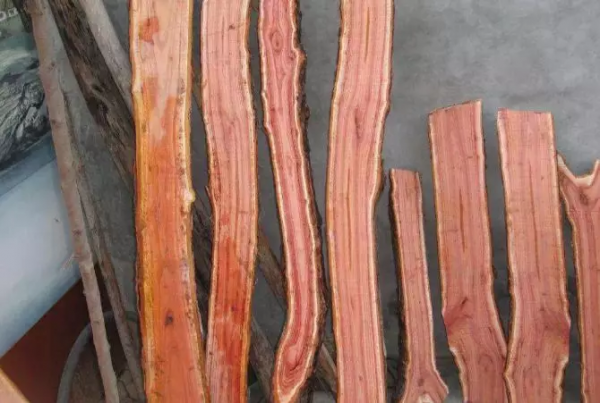 7種不值錢的樹疙瘩，車成珠子，包漿漂亮極了