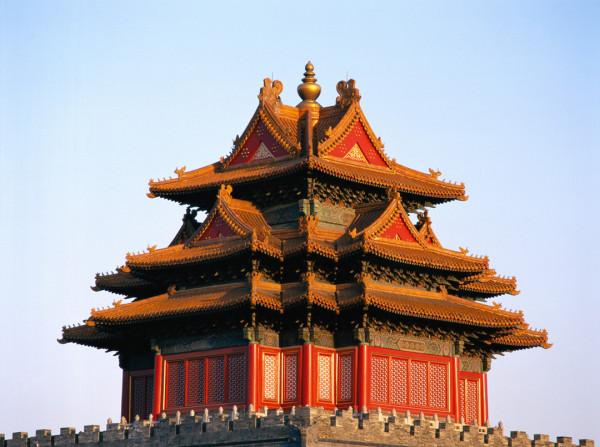 價值千金的金絲楠木，為什麼沒有人去種植呢？