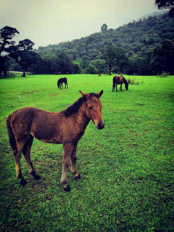 難得的人間仙境，美麗的村莊，幸運被我記錄下來了